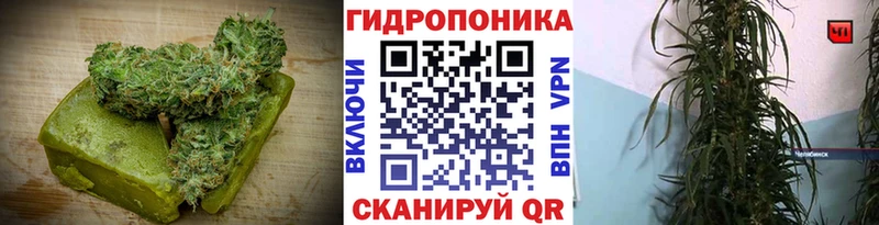 Купить  Нолинск  Canna-Cookies конопля 
