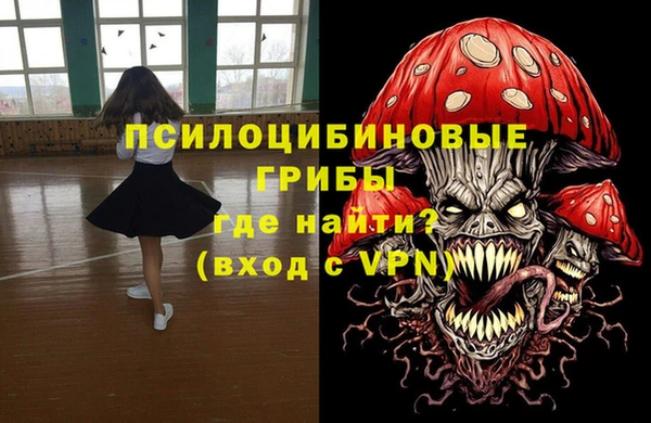 эйфоретик Гусев