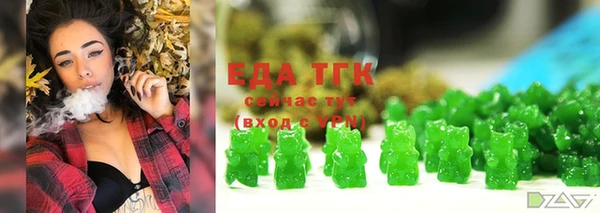 эйфоретик Гусев