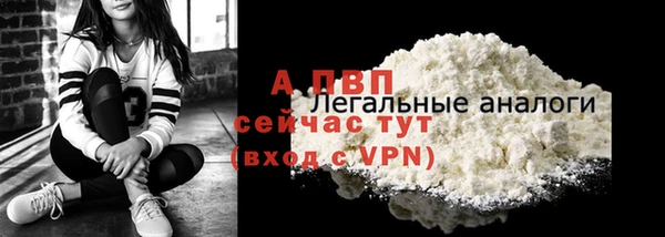 эйфоретик Гусев