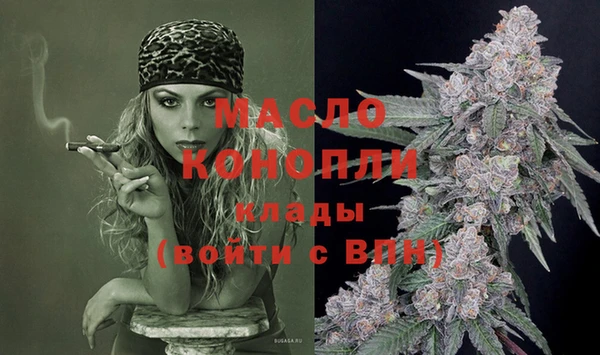эйфоретик Гусев