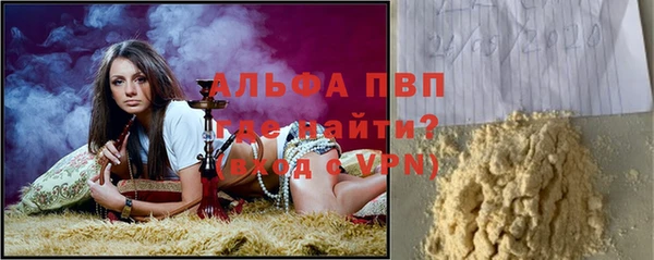 эйфоретик Гусев