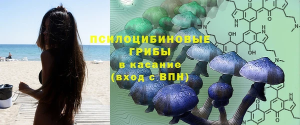 эйфоретик Гусев